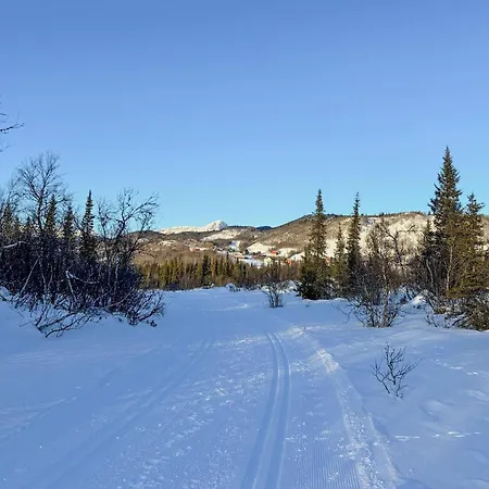 Moderne Midt I Skibakken 度假居 *